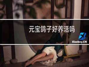 元宝鸽子好养活吗