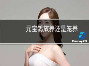 元宝鸽放养还是笼养