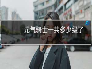 元气骑士一共多少级了