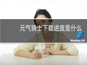 元气骑士下载进度是什么意思