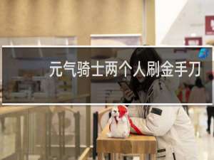 元气骑士两个人刷金手刀需要两个人都空手吗
