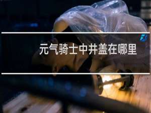 元气骑士中井盖在哪里