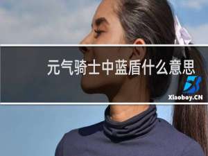 元气骑士中蓝盾什么意思