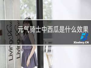 元气骑士中西瓜是什么效果