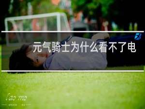 元气骑士为什么看不了电视