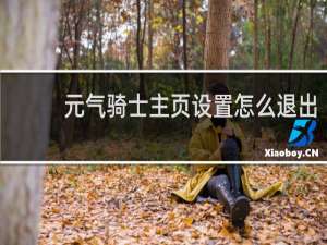 元气骑士主页设置怎么退出