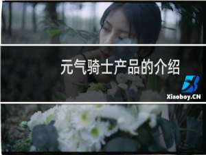 元气骑士产品的介绍