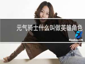 元气骑士什么叫做英雄角色