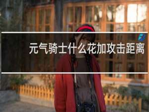 元气骑士什么花加攻击距离