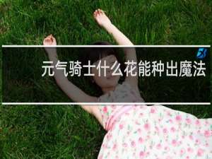 元气骑士什么花能种出魔法