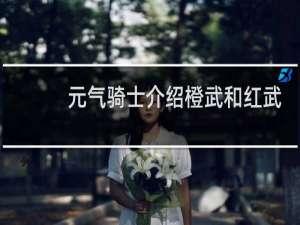 元气骑士介绍橙武和红武