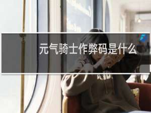 元气骑士作弊码是什么
