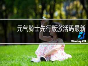 元气骑士先行版激活码最新