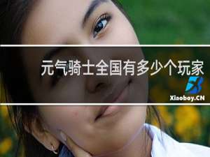 元气骑士全国有多少个玩家