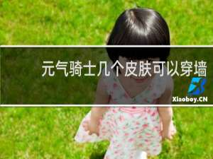 元气骑士几个皮肤可以穿墙