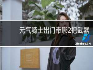 元气骑士出门带哪2把武器