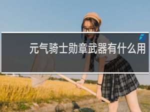 元气骑士勋章武器有什么用