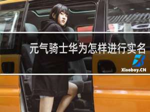 元气骑士华为怎样进行实名