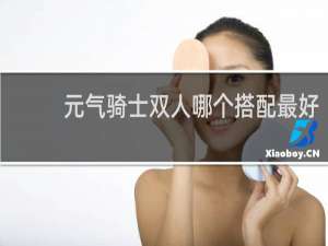 元气骑士双人哪个搭配最好