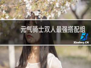 元气骑士双人最强搭配组合