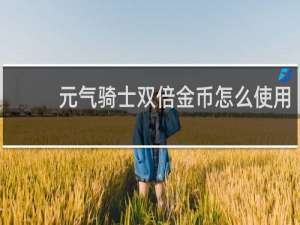 元气骑士双倍金币怎么使用