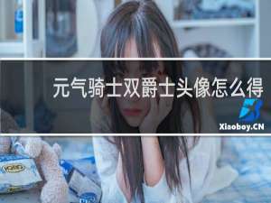 元气骑士双爵士头像怎么得
