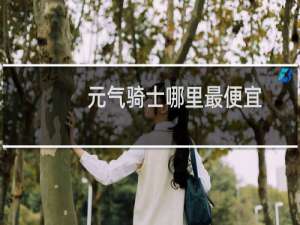 元气骑士哪里最便宜