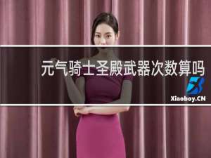 元气骑士圣殿武器次数算吗