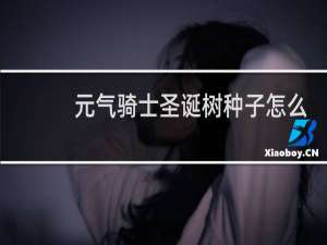 元气骑士圣诞树种子怎么得