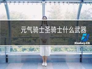 元气骑士圣骑士什么武器