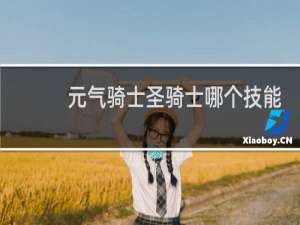 元气骑士圣骑士哪个技能好