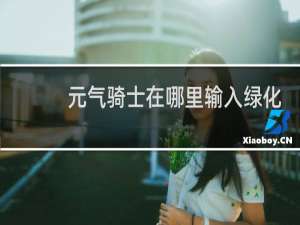 元气骑士在哪里输入绿化