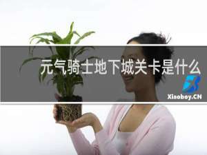 元气骑士地下城关卡是什么