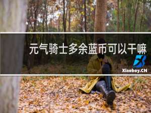 元气骑士多余蓝币可以干嘛