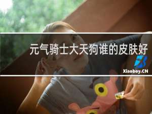 元气骑士大天狗谁的皮肤好