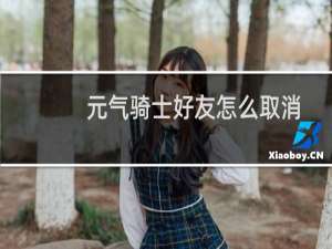 元气骑士好友怎么取消