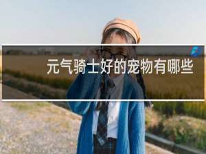 元气骑士好的宠物有哪些