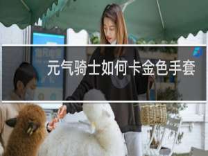 元气骑士如何卡金色手套