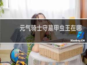 元气骑士守墓甲虫王在哪