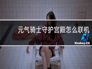 元气骑士守护宫殿怎么联机