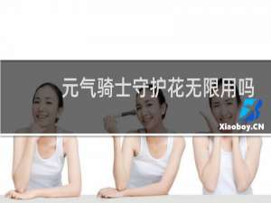 元气骑士守护花无限用吗