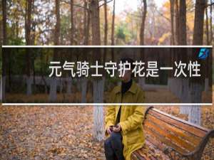 元气骑士守护花是一次性的吗