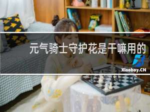 元气骑士守护花是干嘛用的