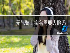 元气骑士实名需要人脸吗