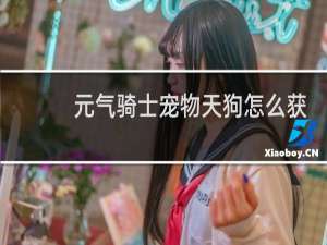 元气骑士宠物天狗怎么获得