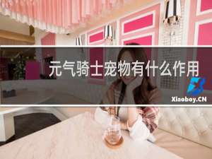 元气骑士宠物有什么作用