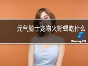 元气骑士宠物火蜥蜴吃什么