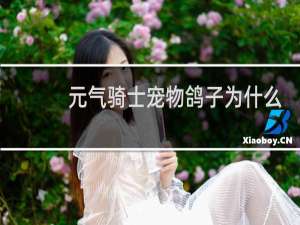 元气骑士宠物鸽子为什么那么贵