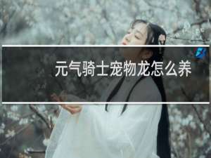 元气骑士宠物龙怎么养
