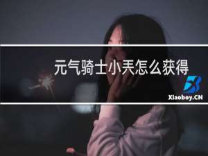元气骑士小兲怎么获得